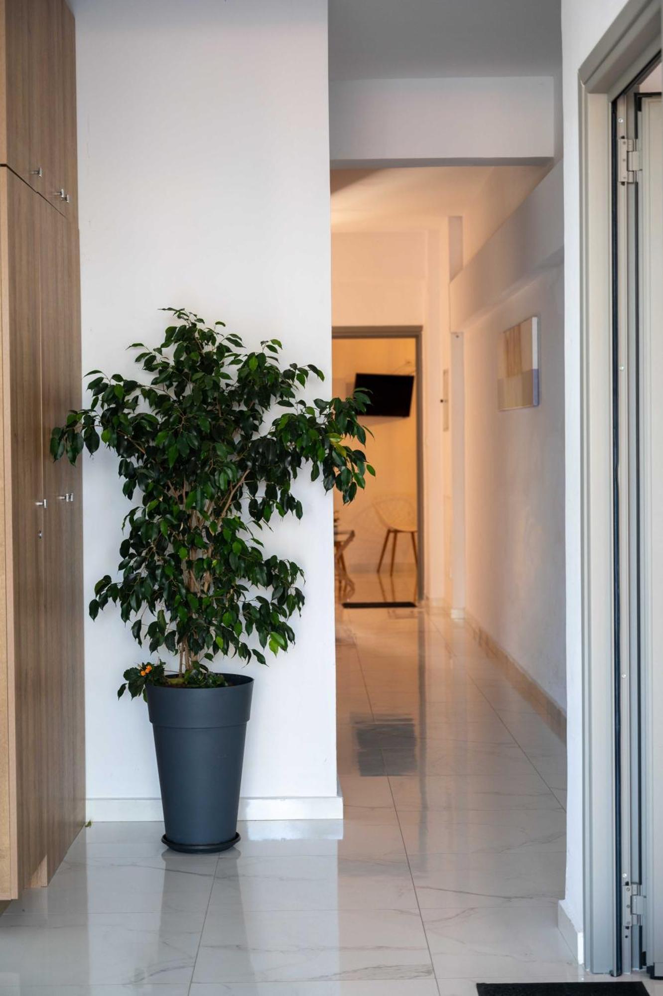 Finikas Suites & Apartments 10Min From Athens Airport Artemida  Exteriér fotografie