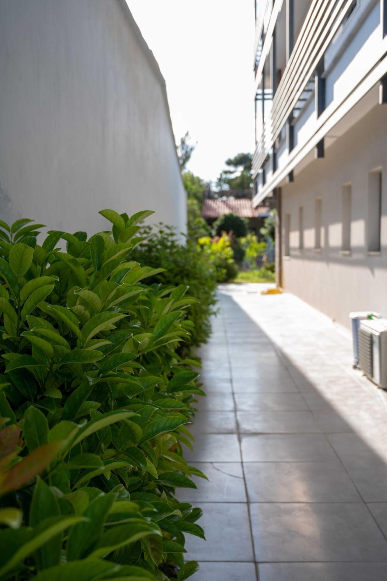 Finikas Suites & Apartments 10Min From Athens Airport Artemida  Exteriér fotografie